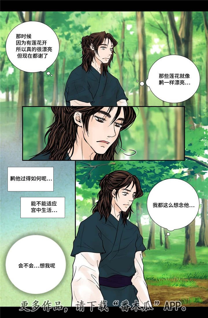 第53章：找到真爱