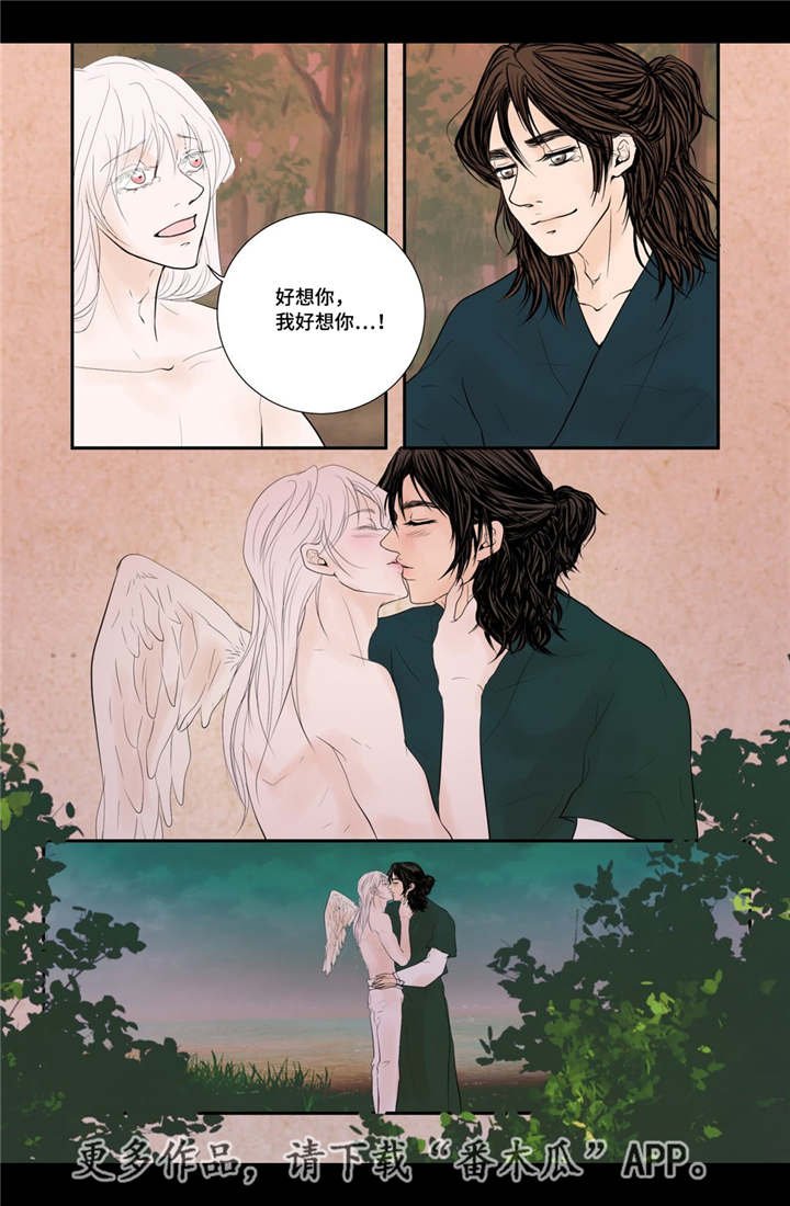 第53章：找到真爱
