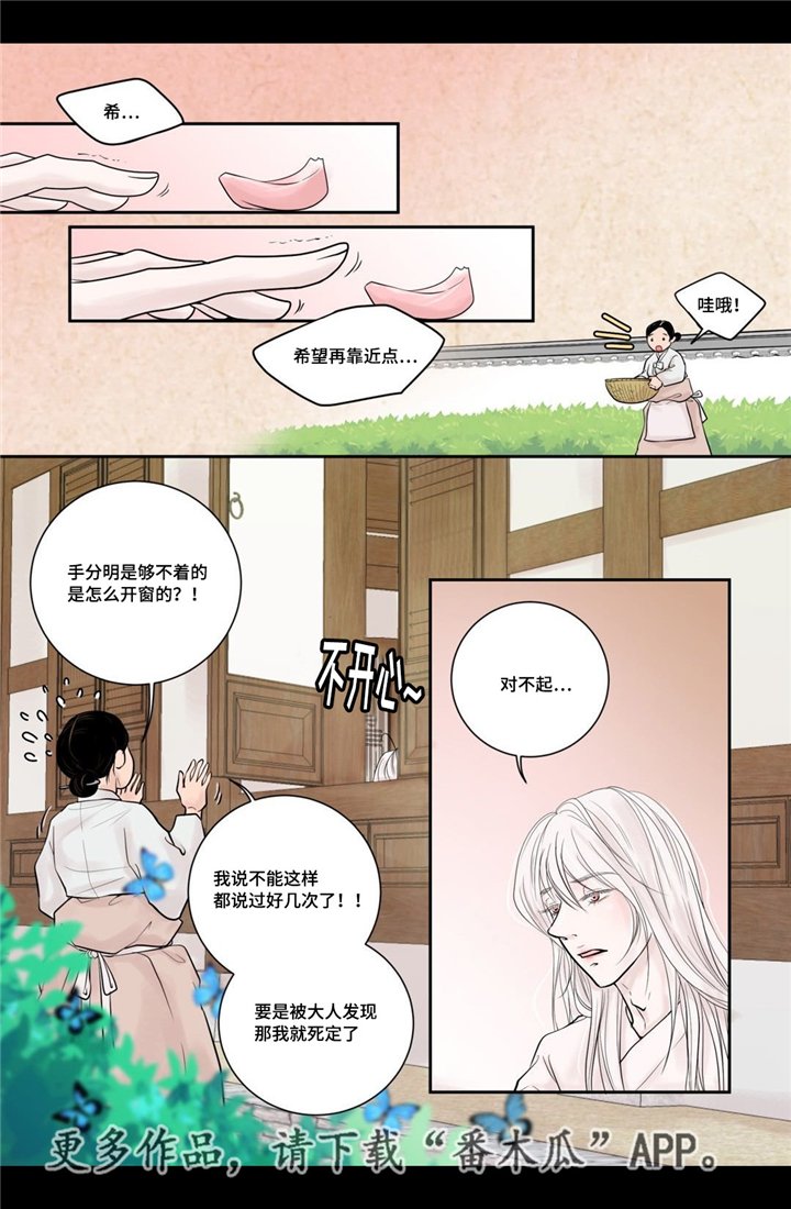 第6章：第一次见