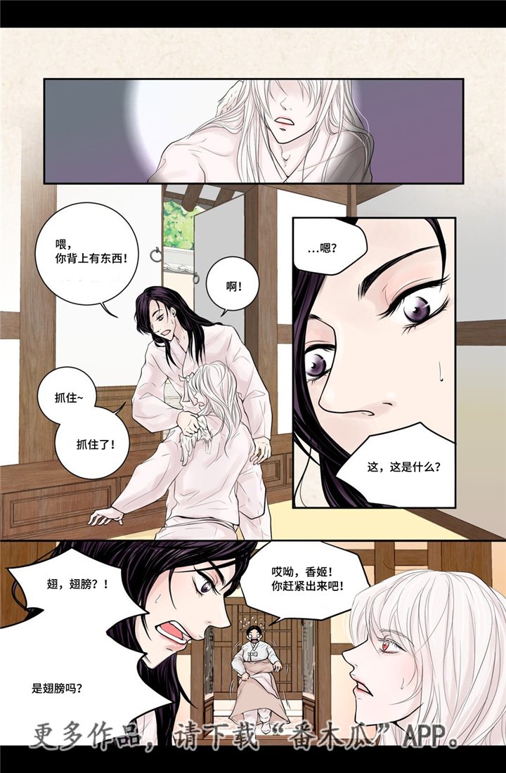 第6章：第一次见