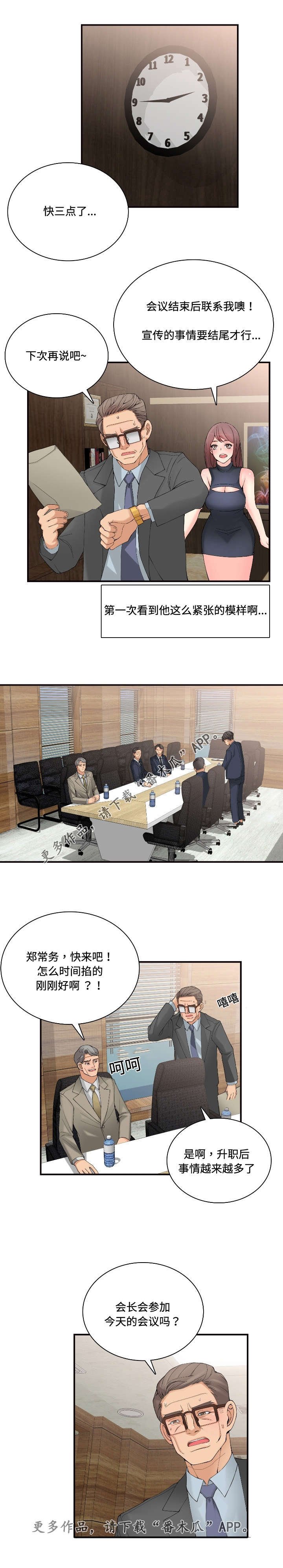 第29章：理事会