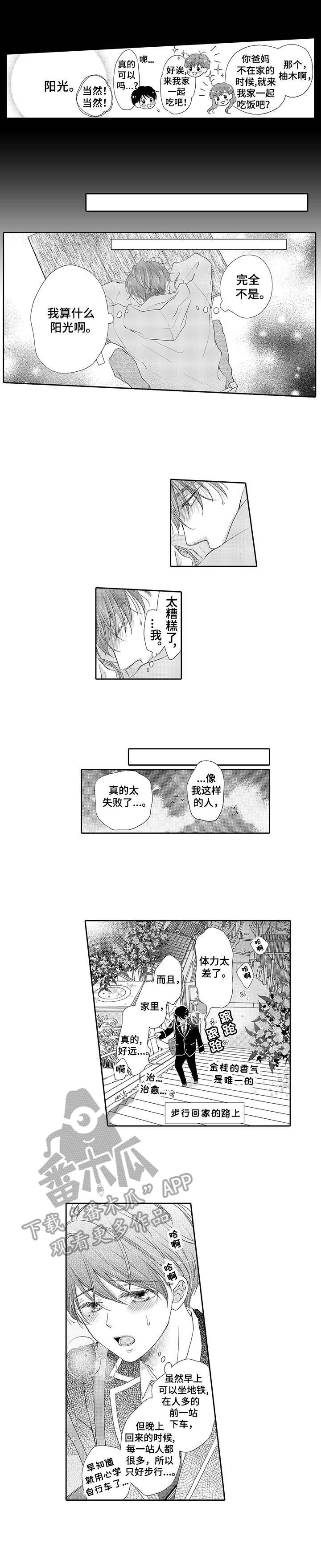 第14章：父母节