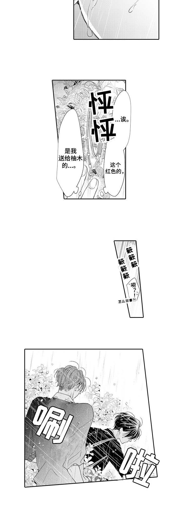 第16章：寻找