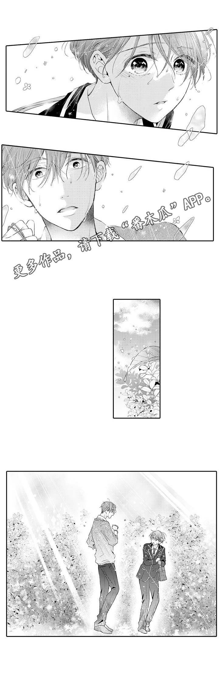 第16章：寻找