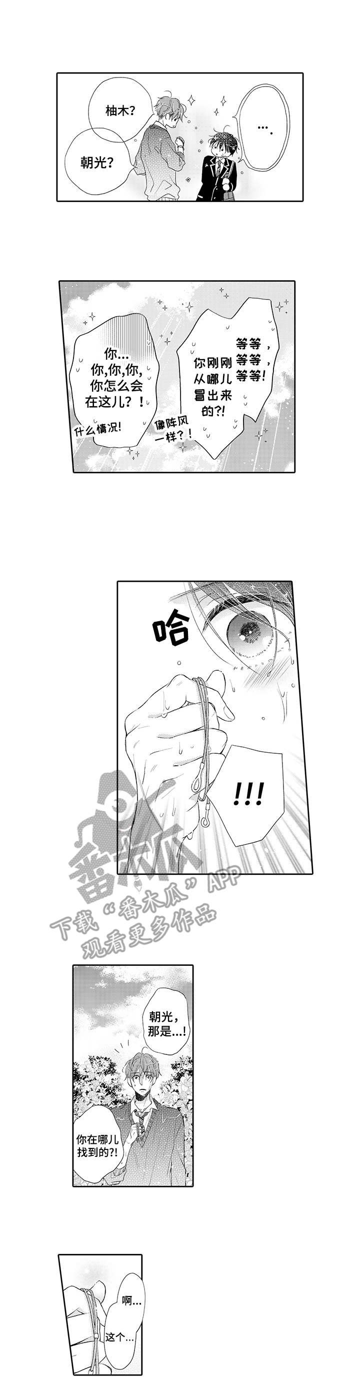 第16章：寻找