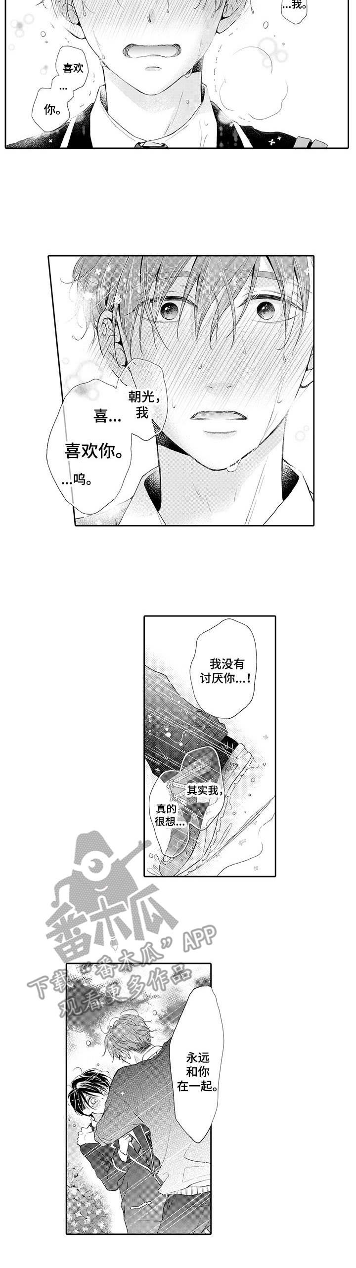 第17章：表白