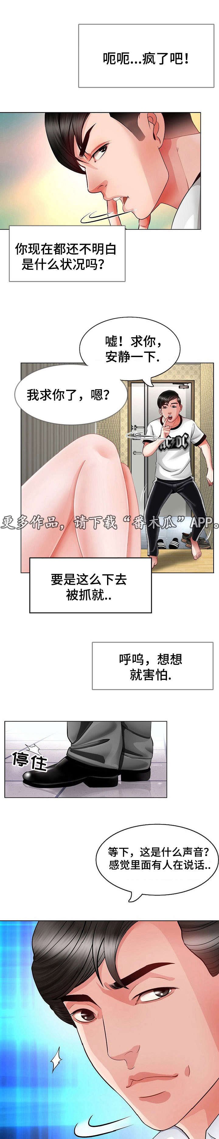 第6章：伪装