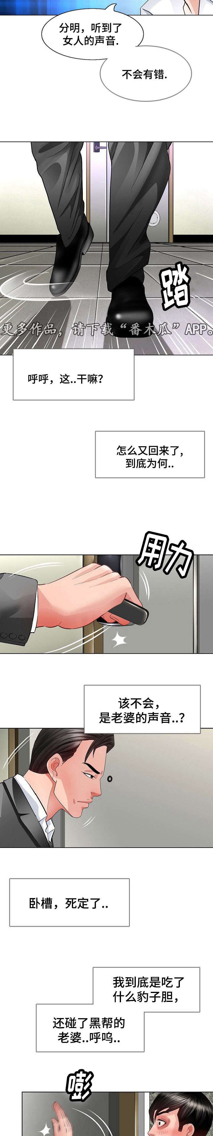 第6章：伪装