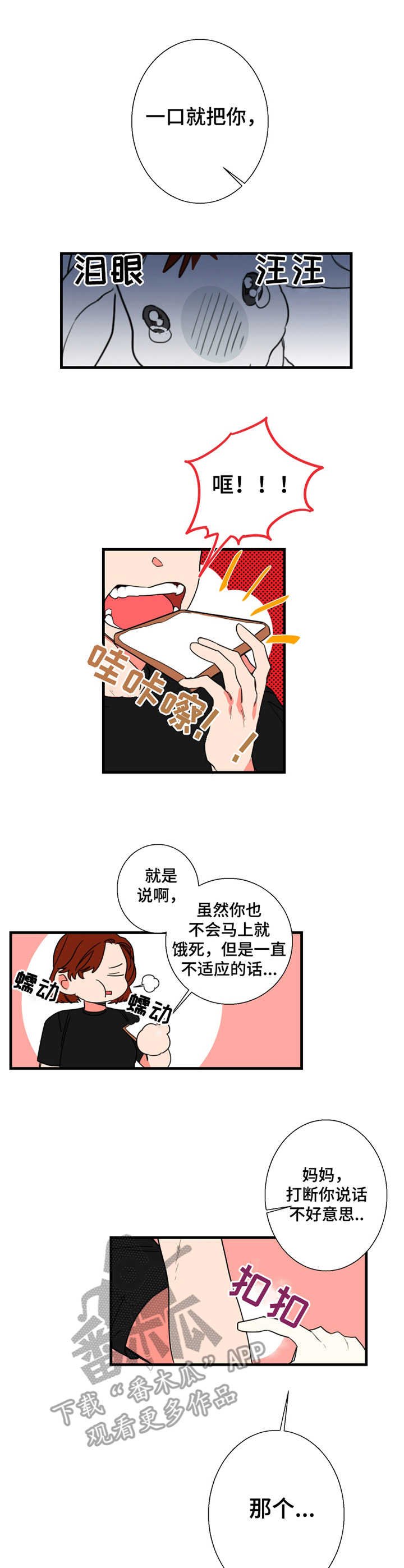 第3章：引人瞩目