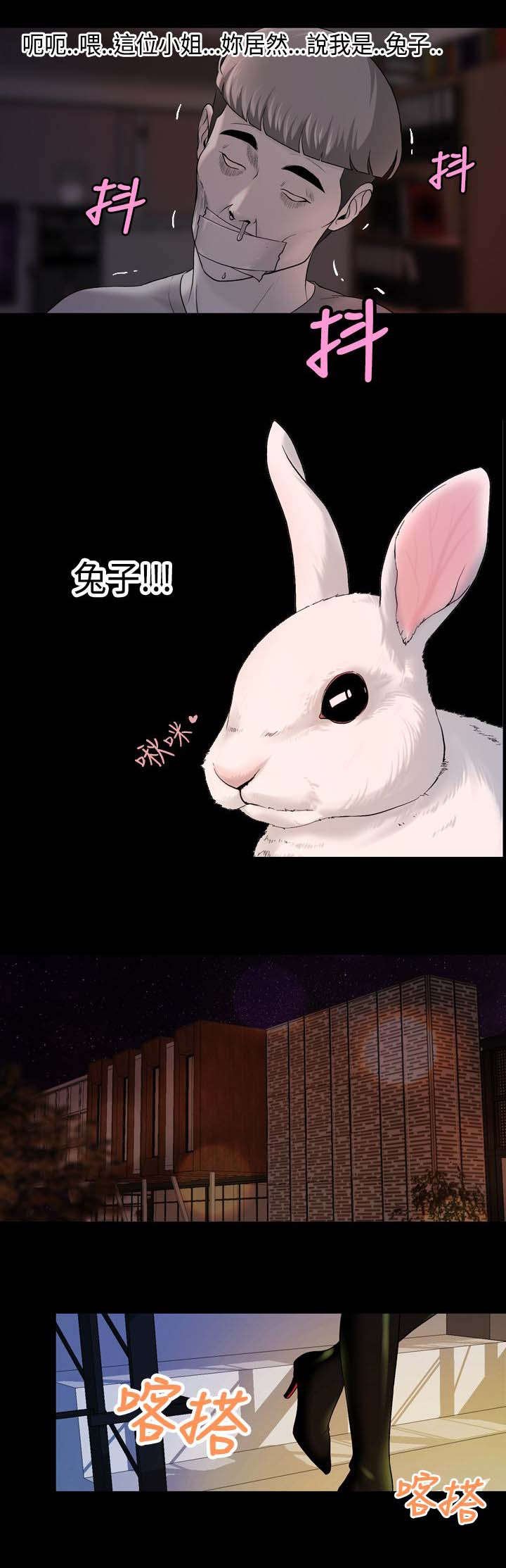 第20章：追捕蒙面女