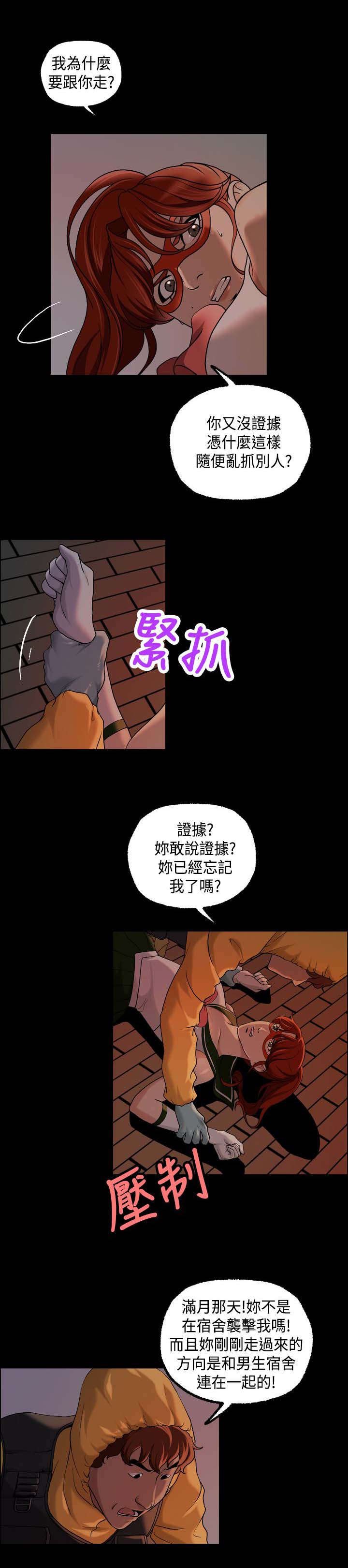 第20章：追捕蒙面女