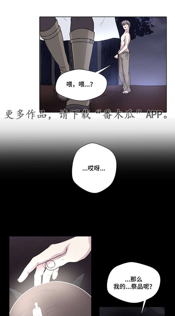 第11章：良心发现