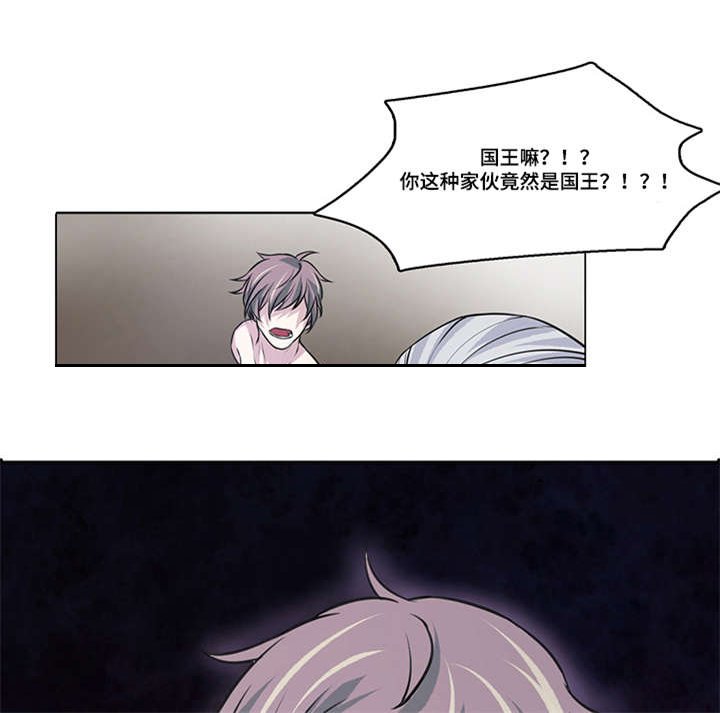 第15章：我不会原谅你
