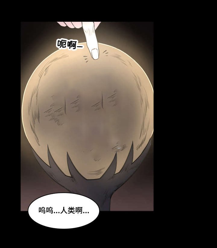 第20章：人类啊