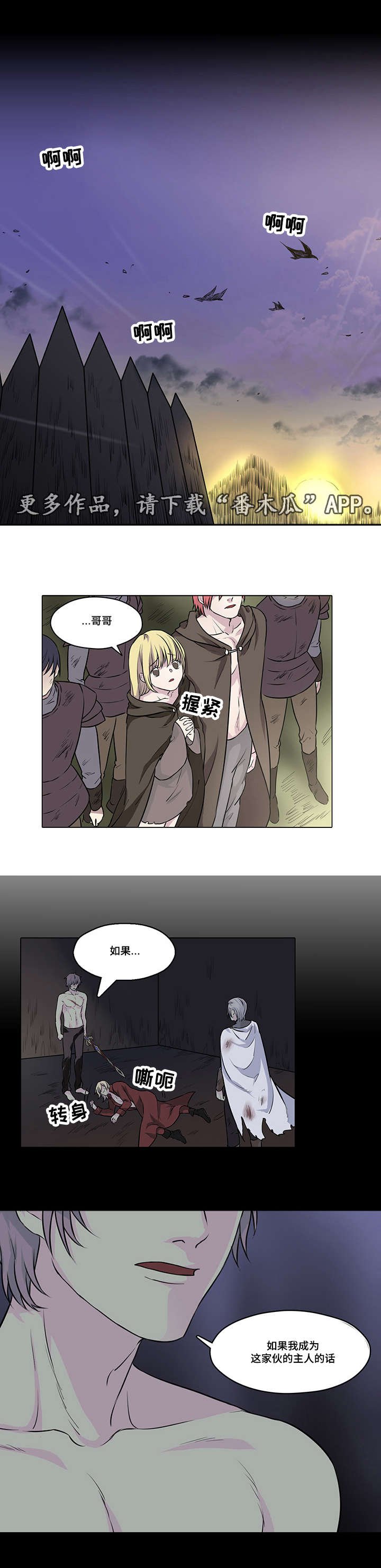 第35章：选择