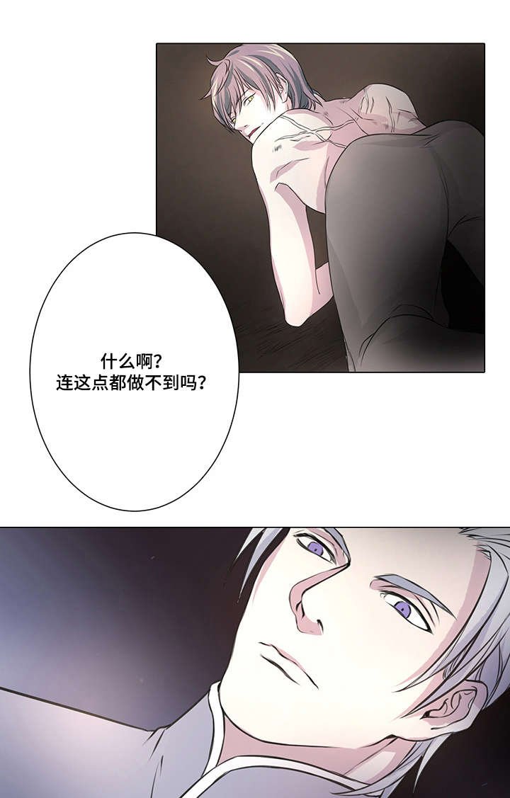 第5章：我的国王