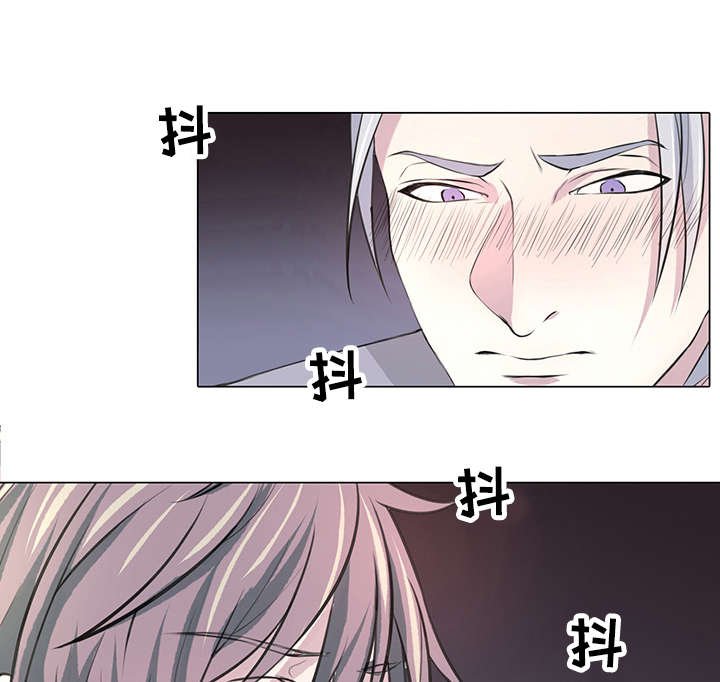 第5章：我的国王