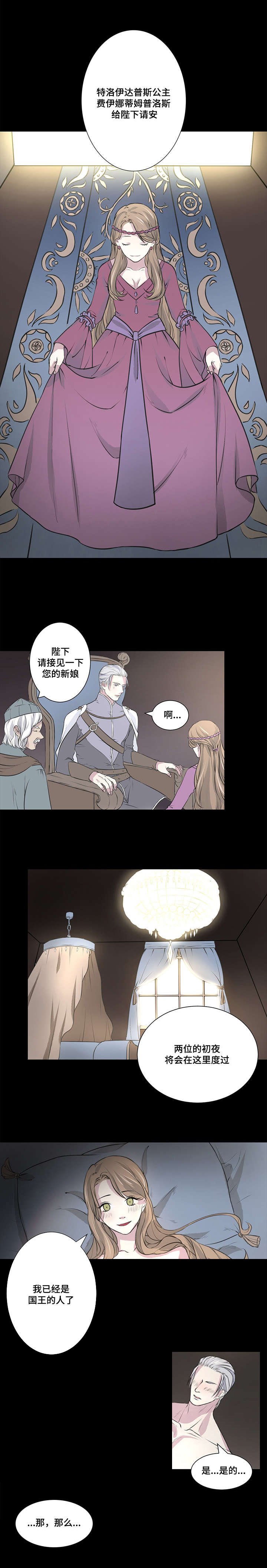 第5章：我的国王
