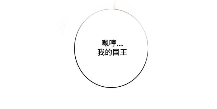 第5章：我的国王