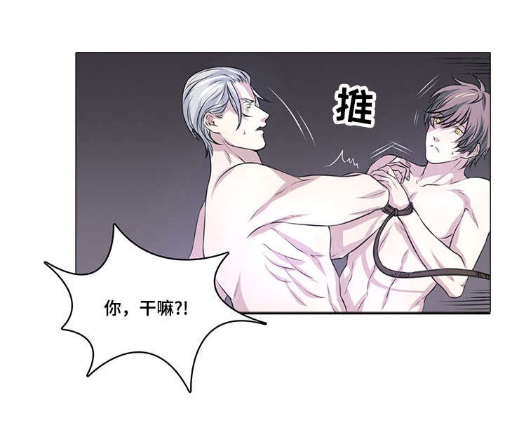 第9章：我们重新开始