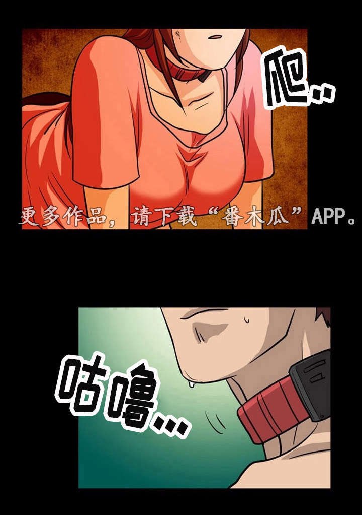 第12章：地下室