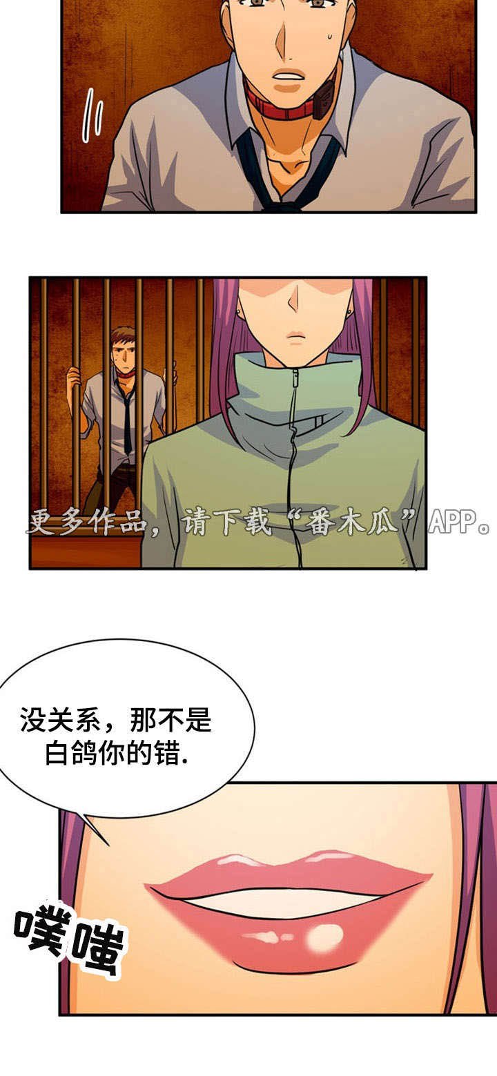 第24章：建议