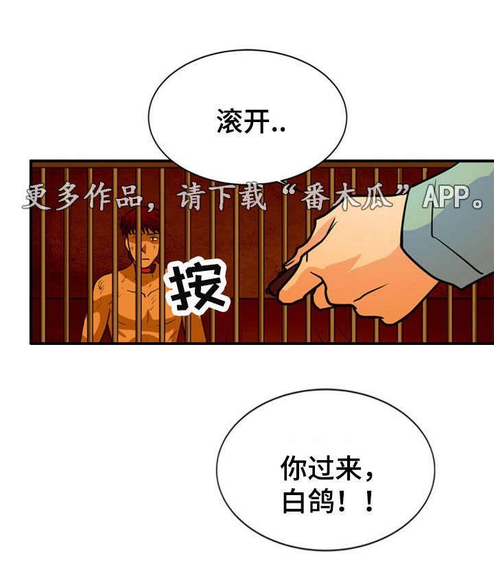 第24章：建议