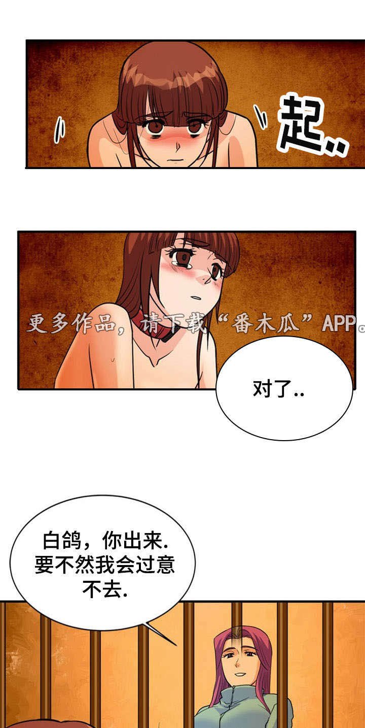 第24章：建议