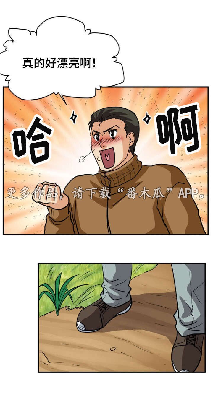 第29章：相遇