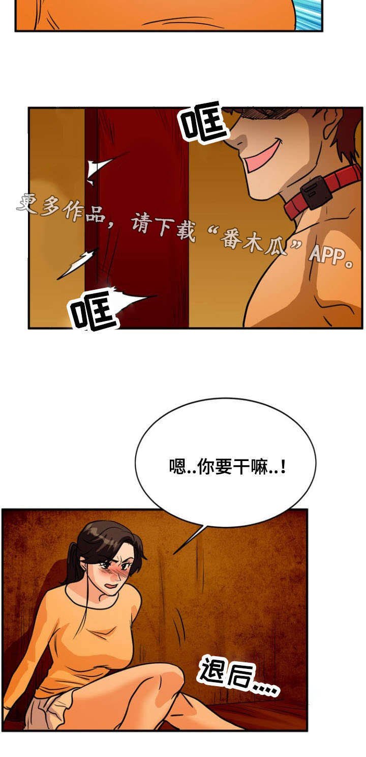 第35章：利用