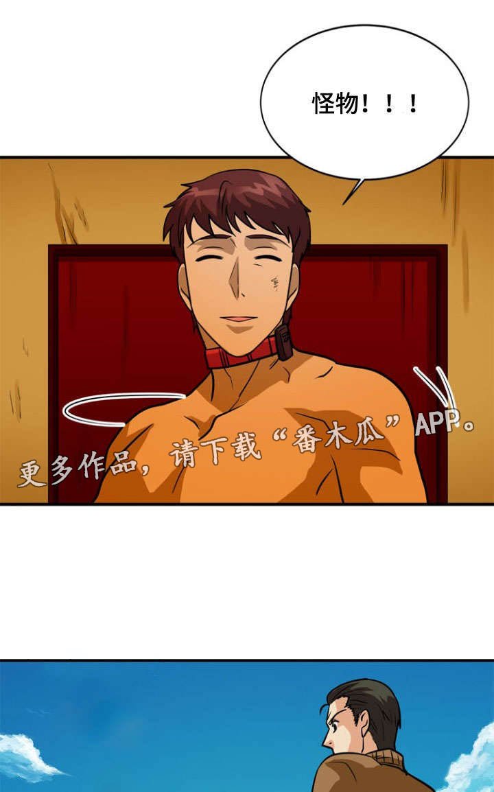 第35章：利用