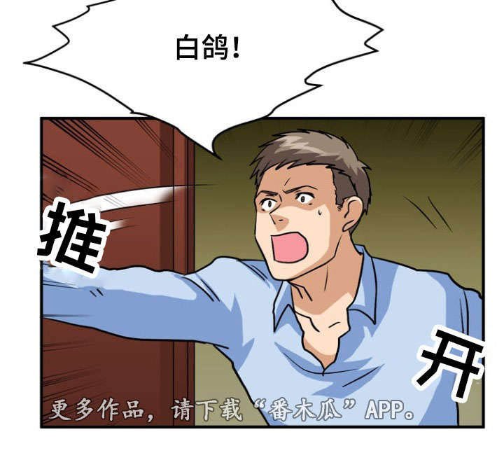 第53章：猜测