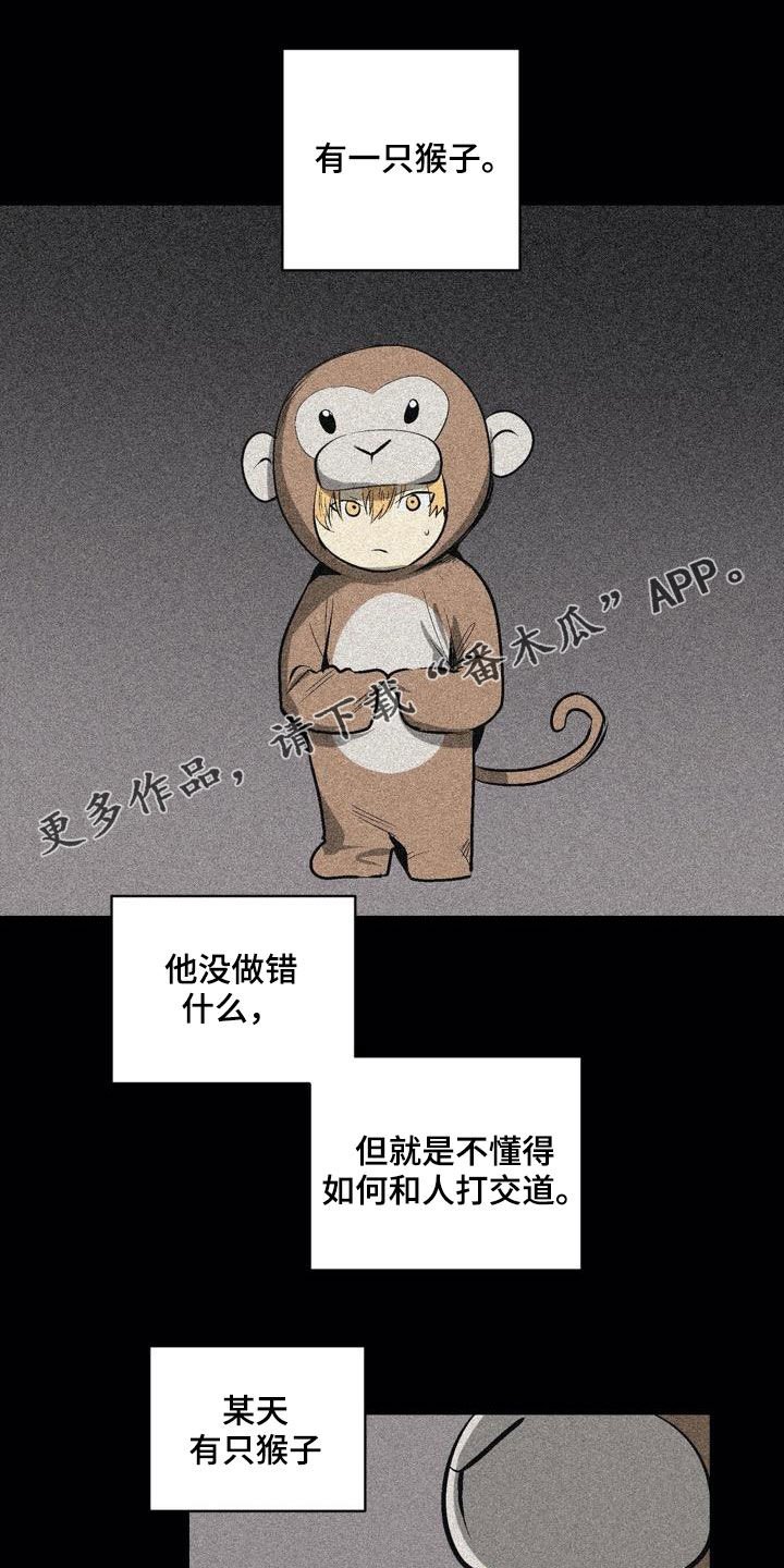 第104章：【第二季】猴子的故事