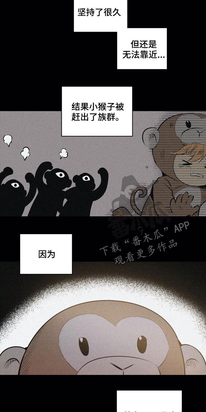 第104章：【第二季】猴子的故事