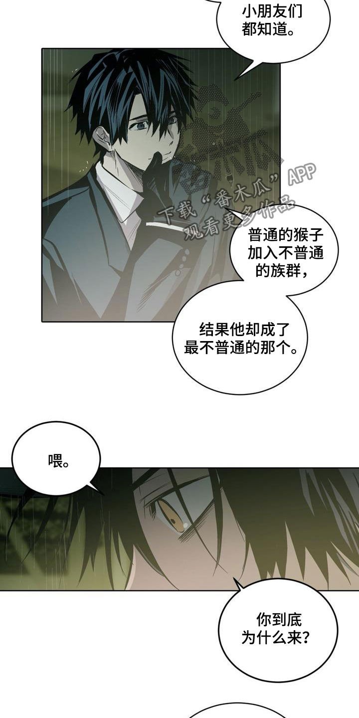 第104章：【第二季】猴子的故事