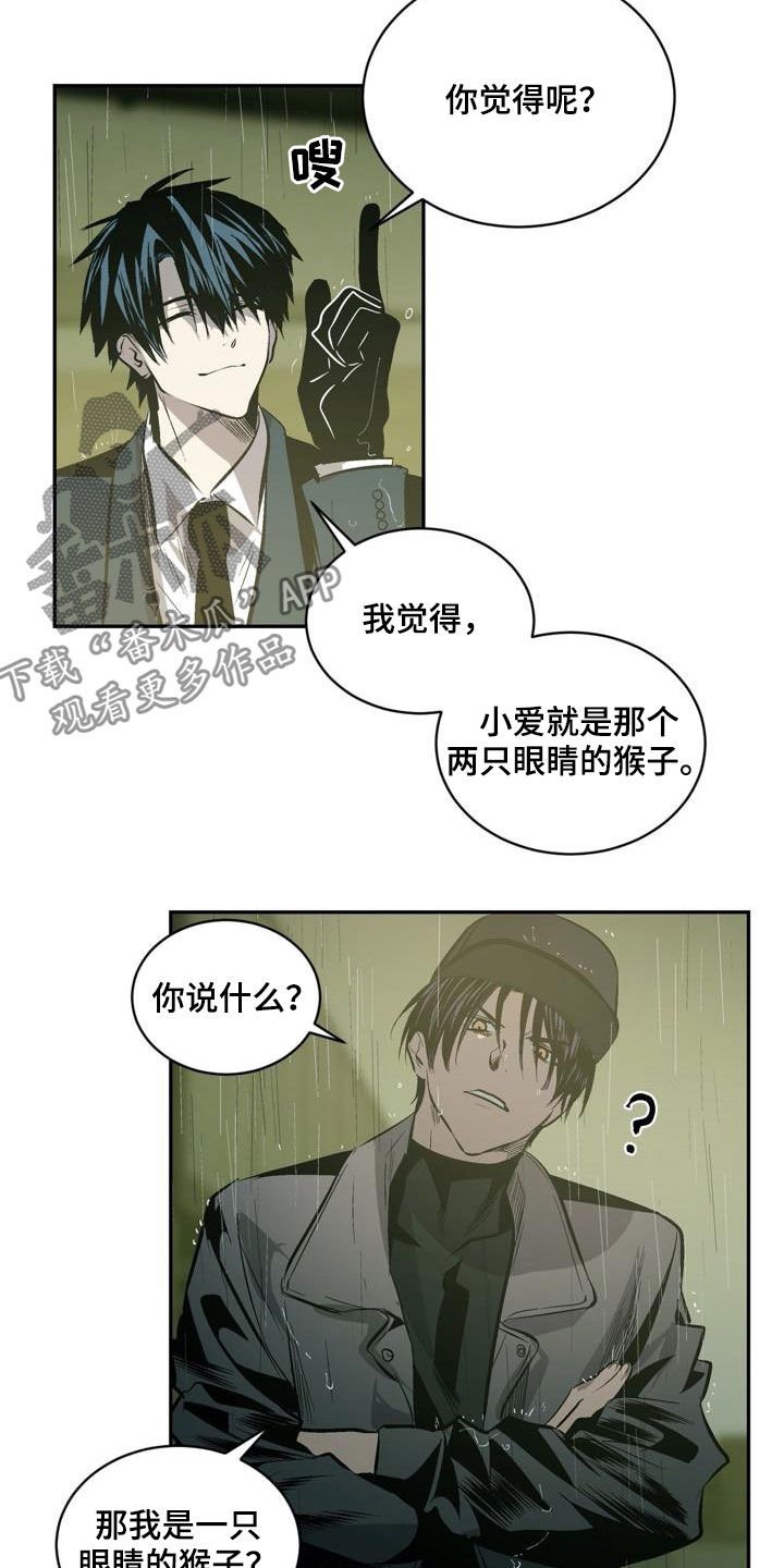 第104章：【第二季】猴子的故事