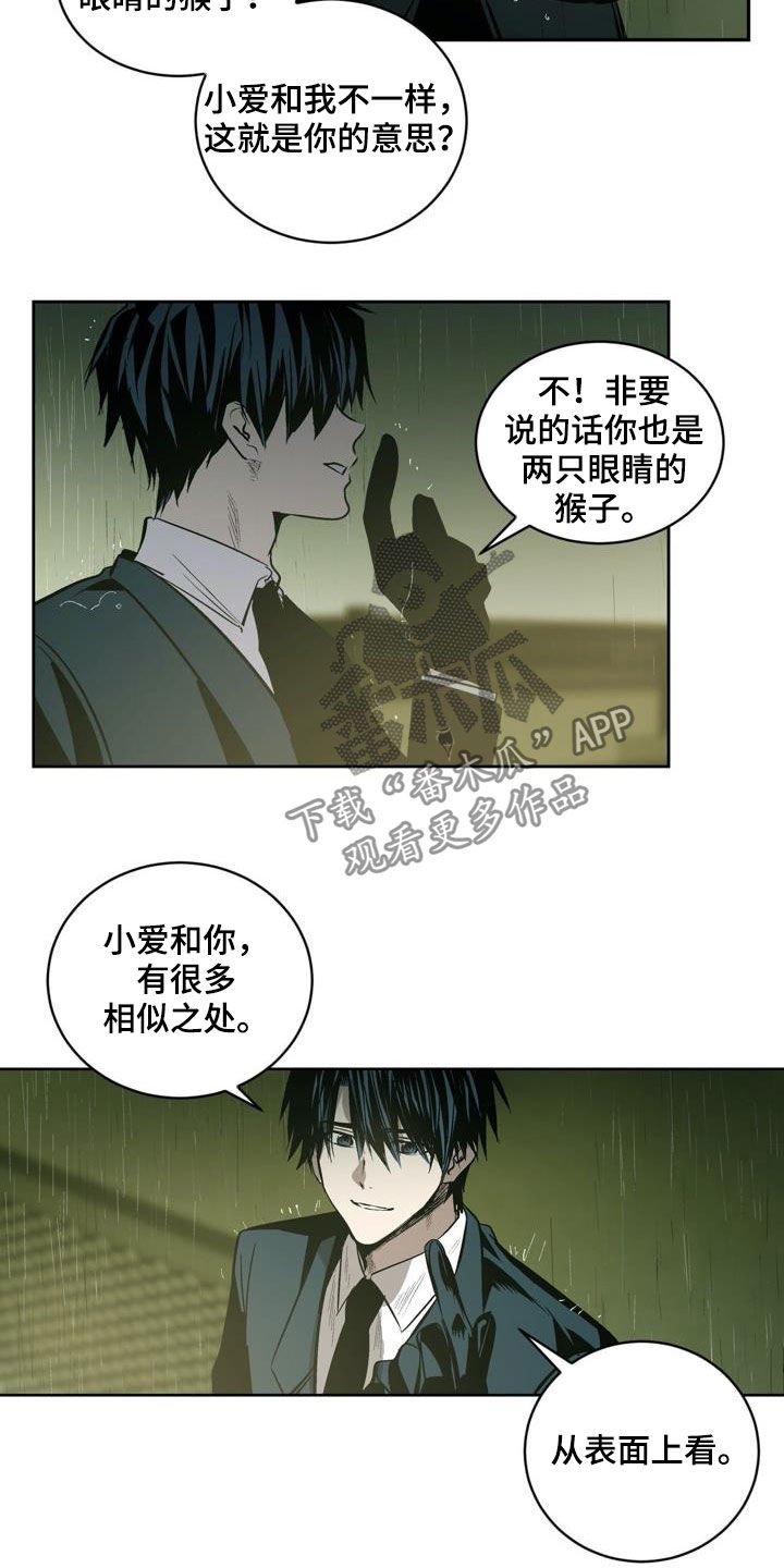 第104章：【第二季】猴子的故事