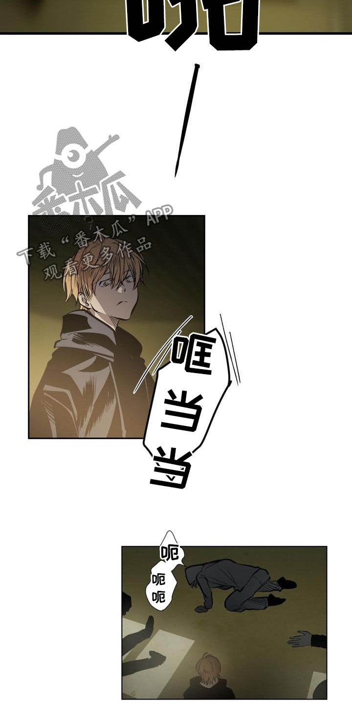 第104章：【第二季】猴子的故事
