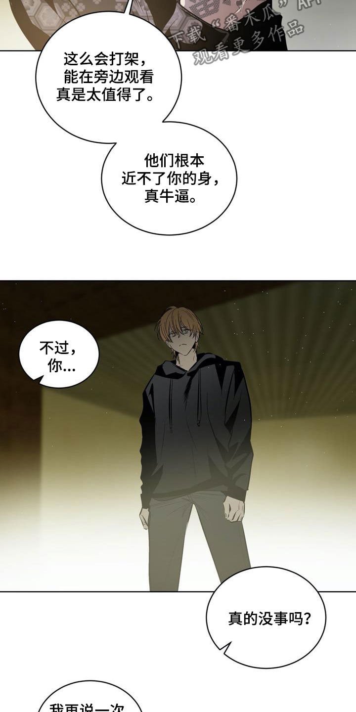 第104章：【第二季】猴子的故事