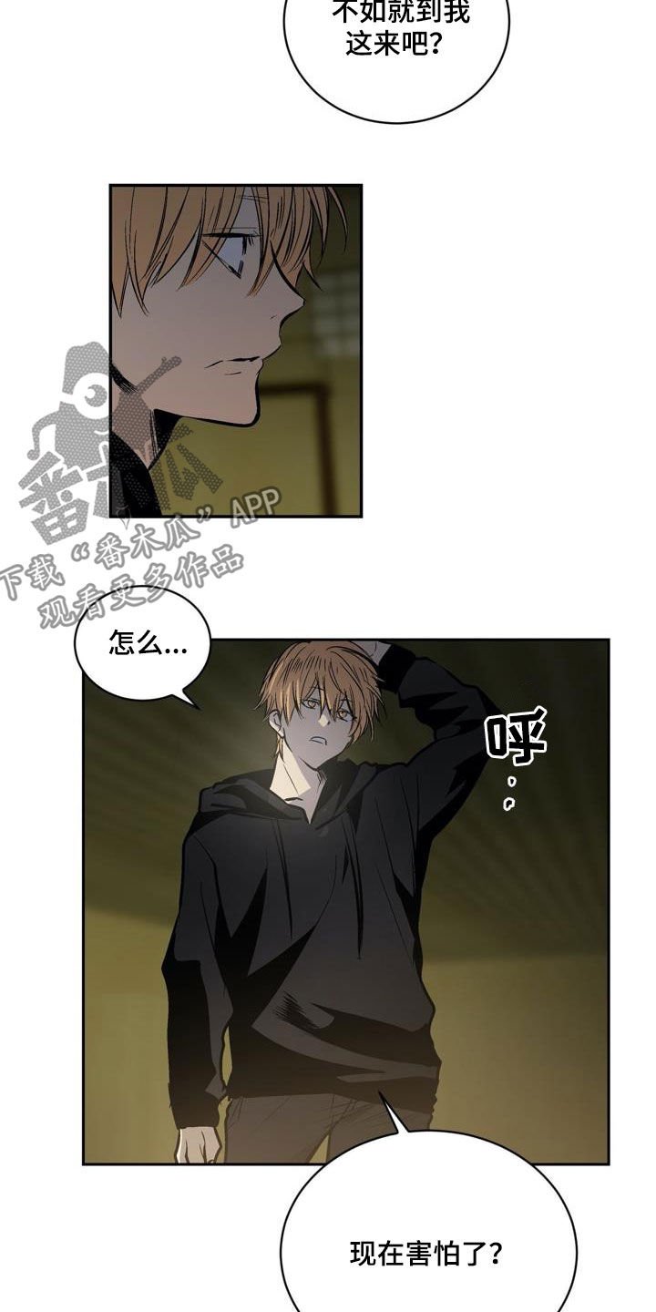 第104章：【第二季】猴子的故事