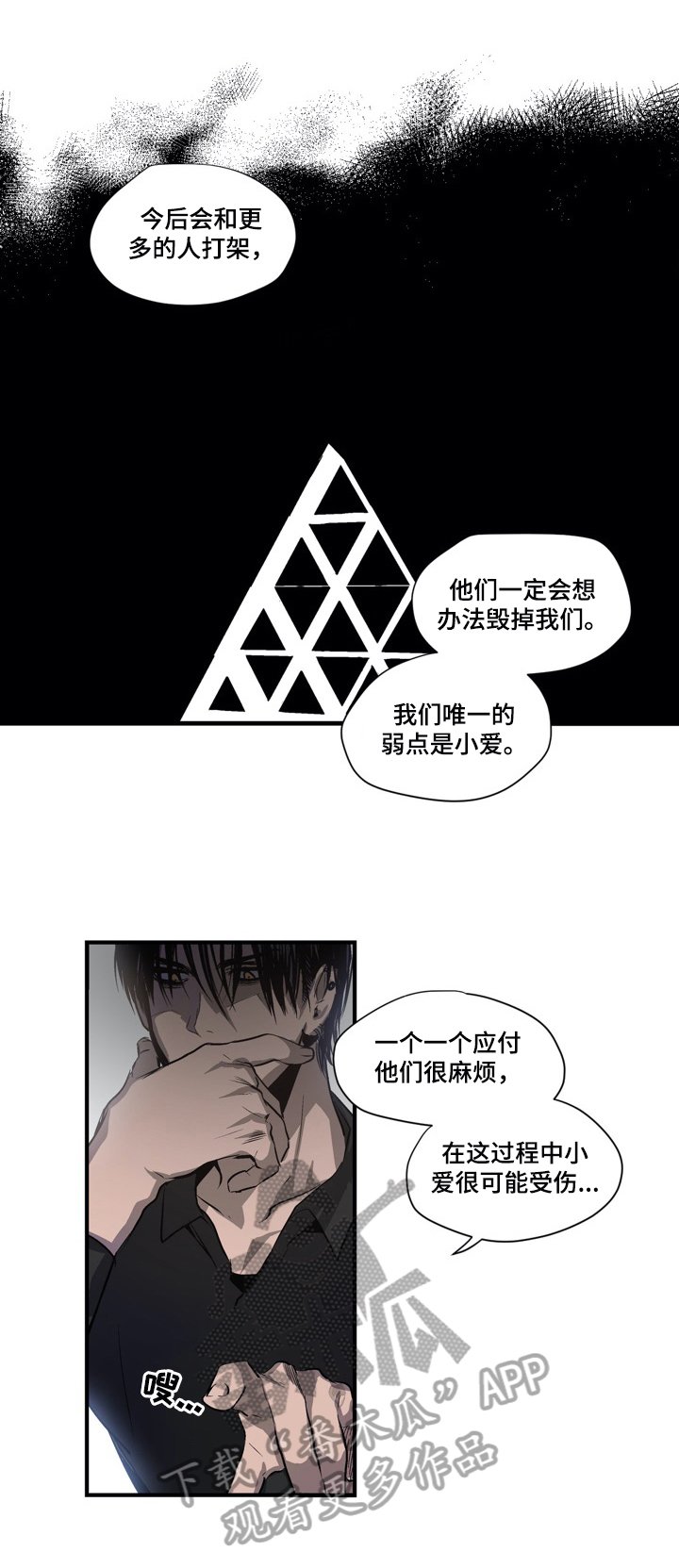 第13章：保护计划