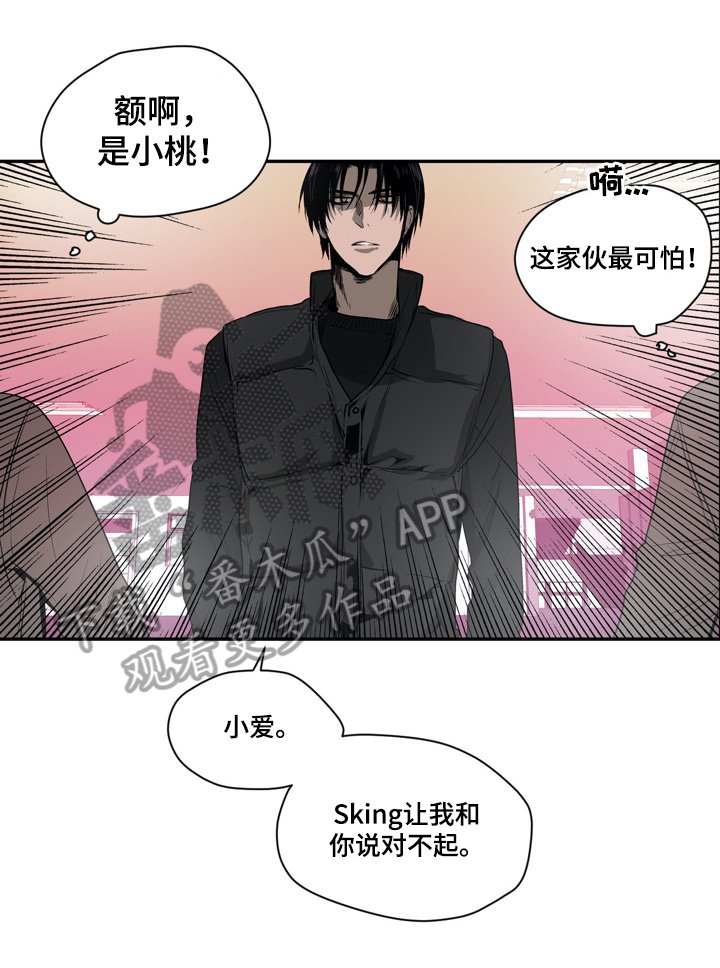第16章：羊驼
