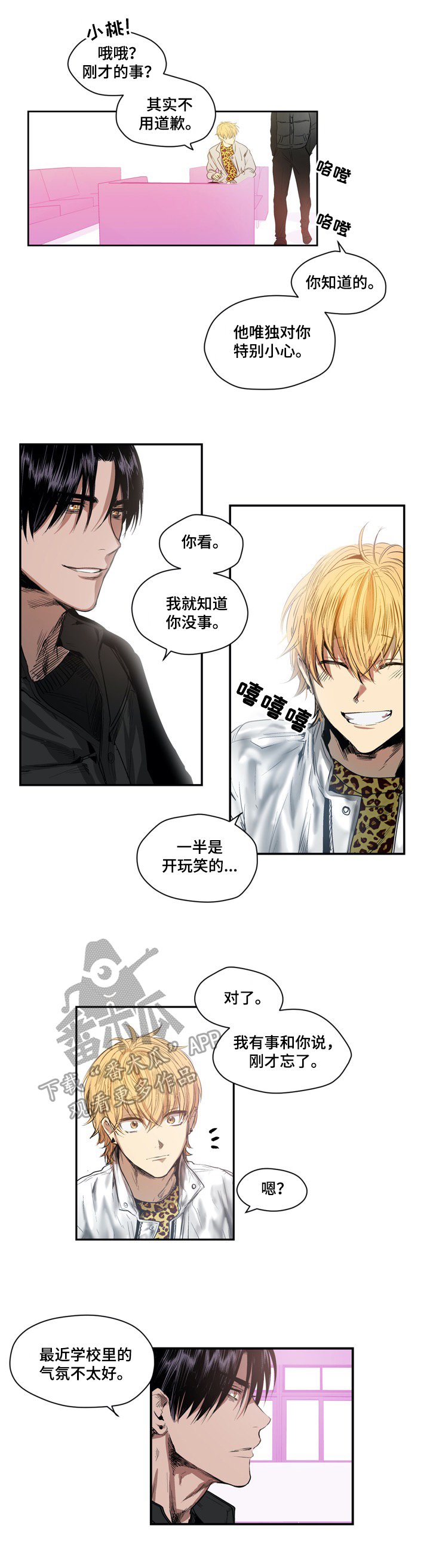 第16章：羊驼