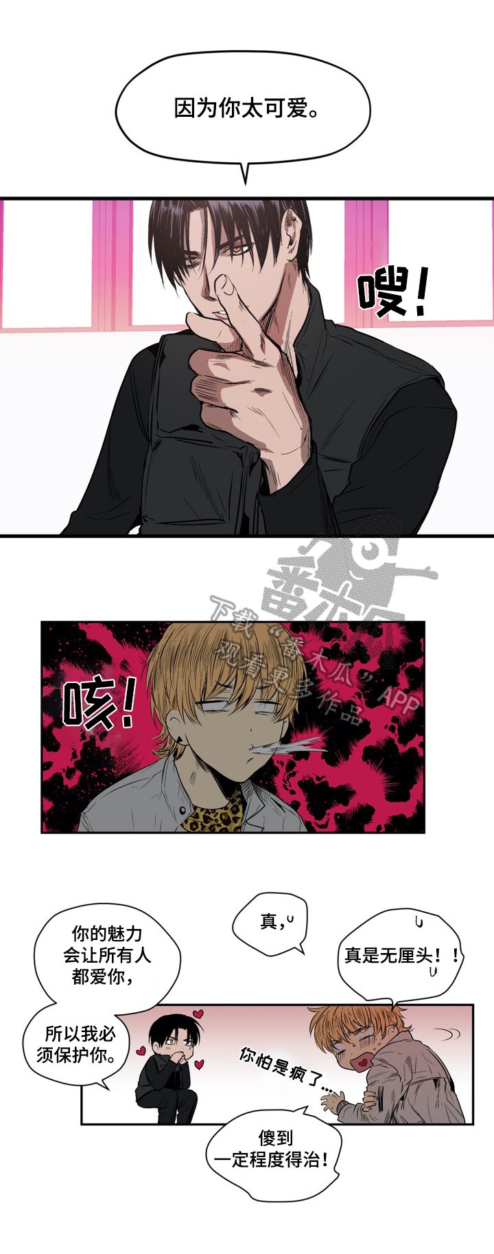 第16章：羊驼