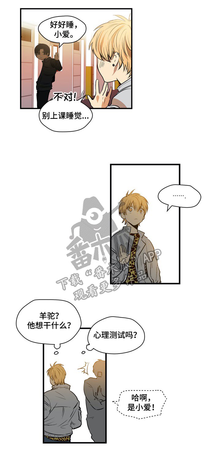 第16章：羊驼