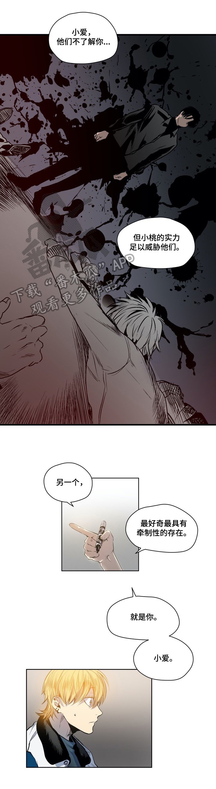 第48章：实力