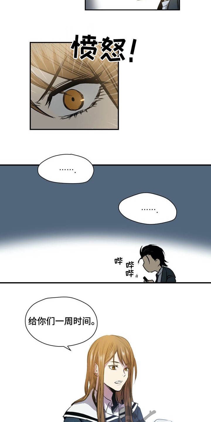 第53章：期限