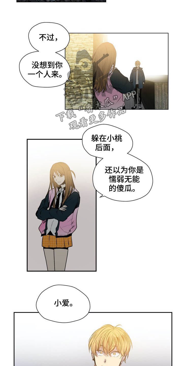 第55章：条件