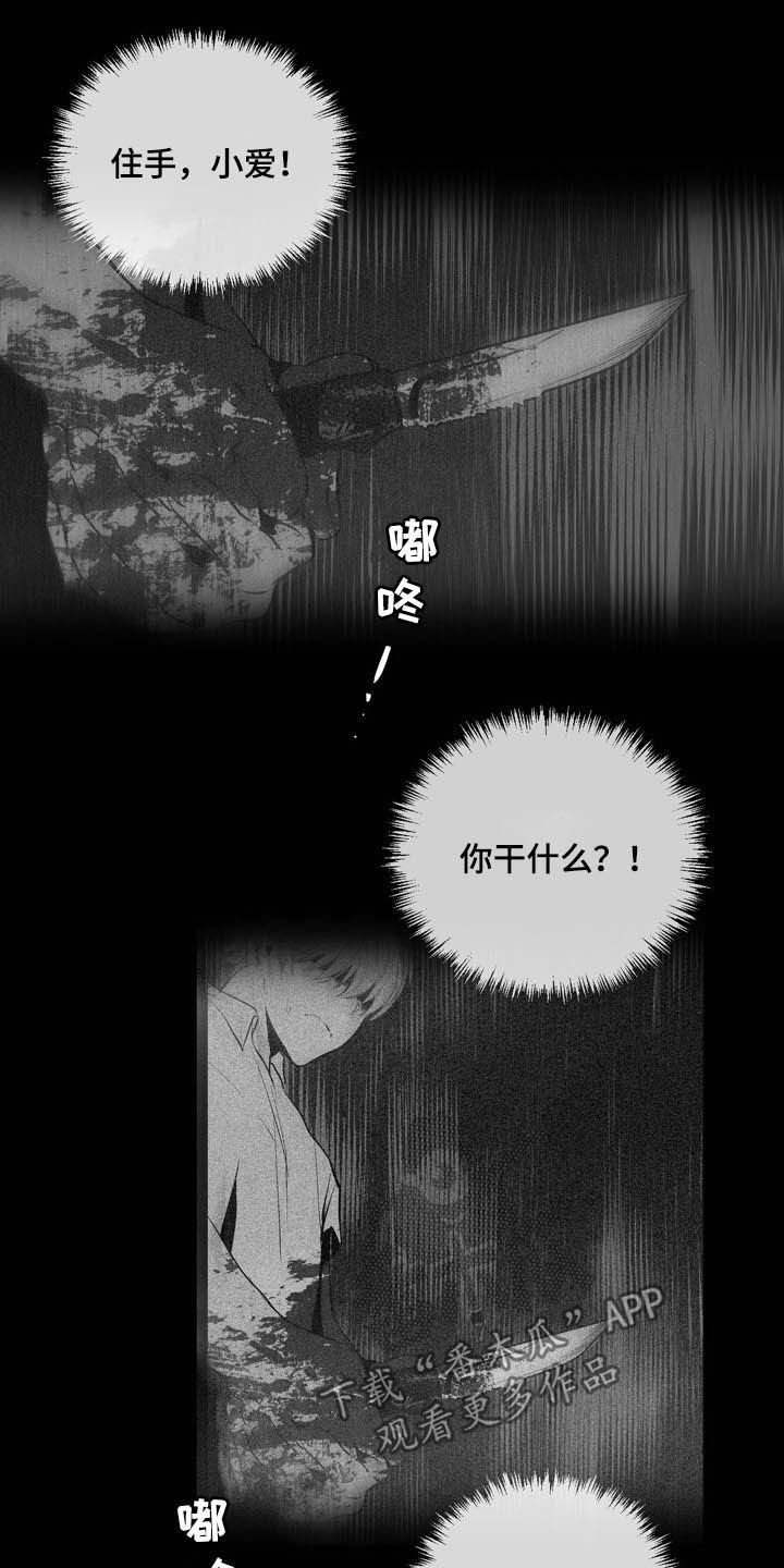 第62章：你是间谍吗