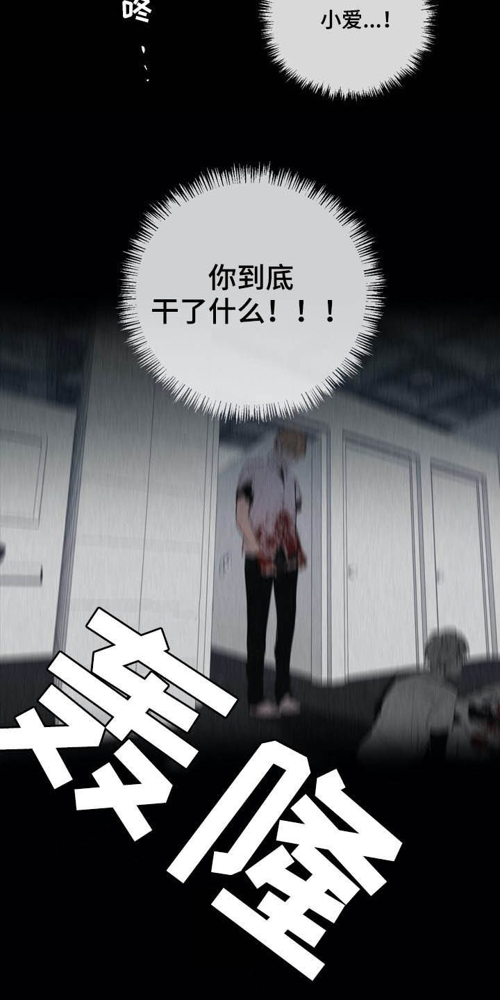 第62章：你是间谍吗